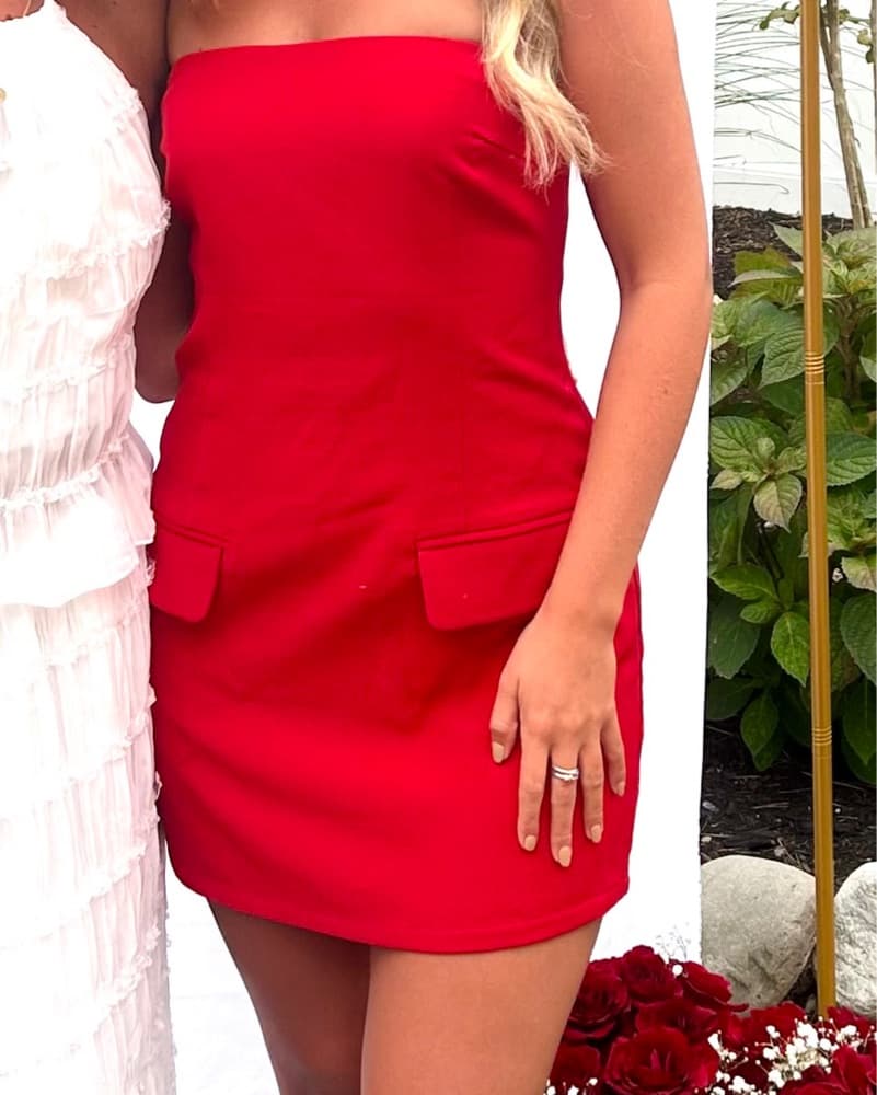 Red Revolve Mini Dress  - Image 2