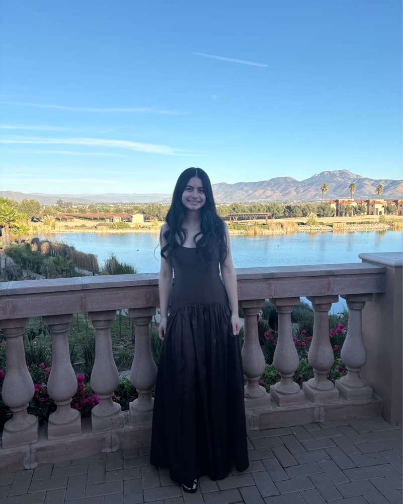 Brown Drop Waist Maxi Dress - Image 4