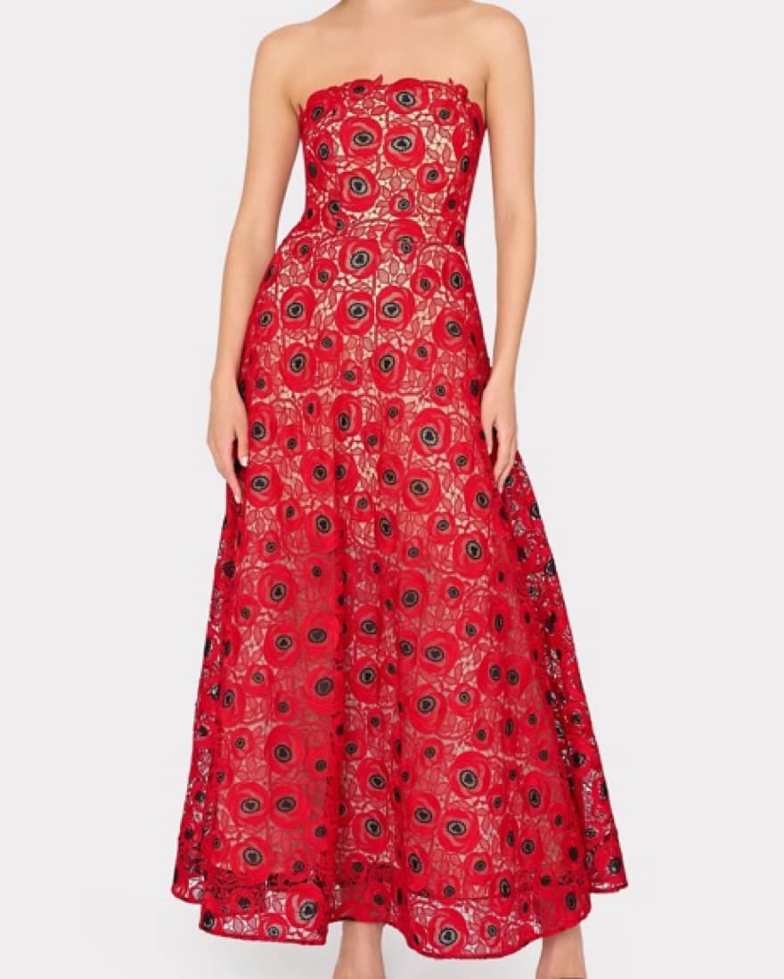 Netty Embroidered Lace Maxi Dress - Image 1
