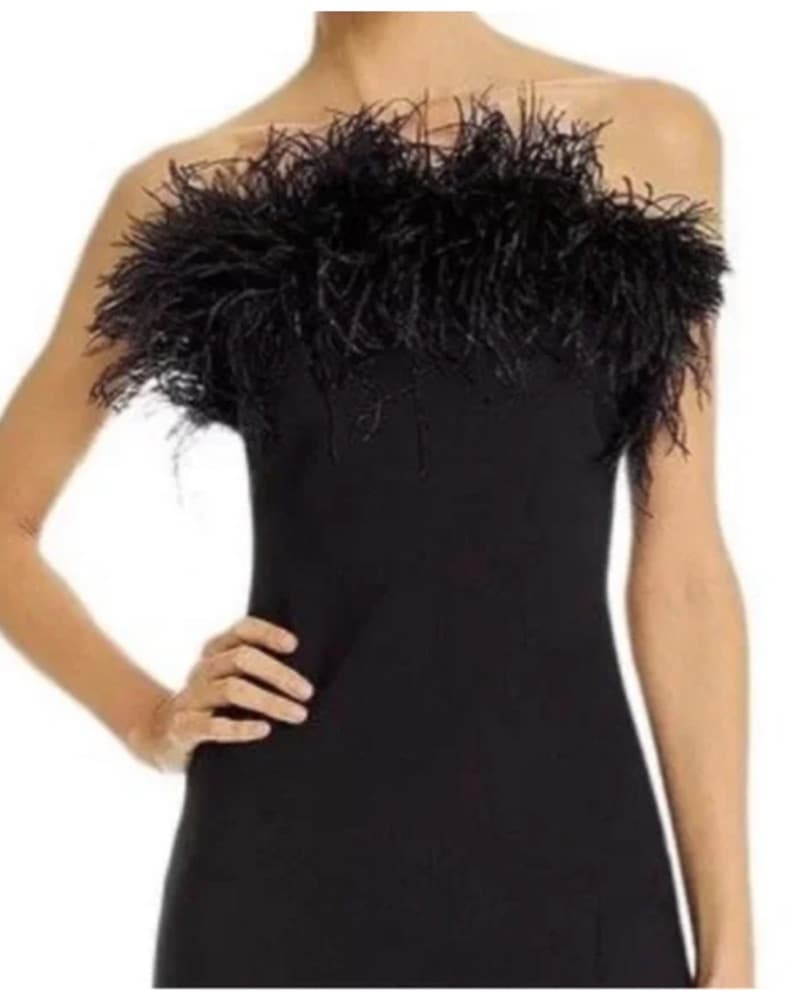 Likely Black feather Gown - Image 3