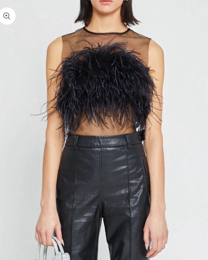 Feather Top - Image 1