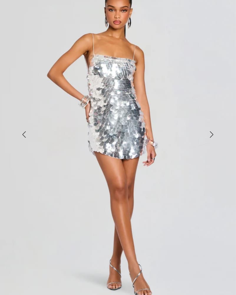 Retrofete Silver Sequin Dress  - Image 3