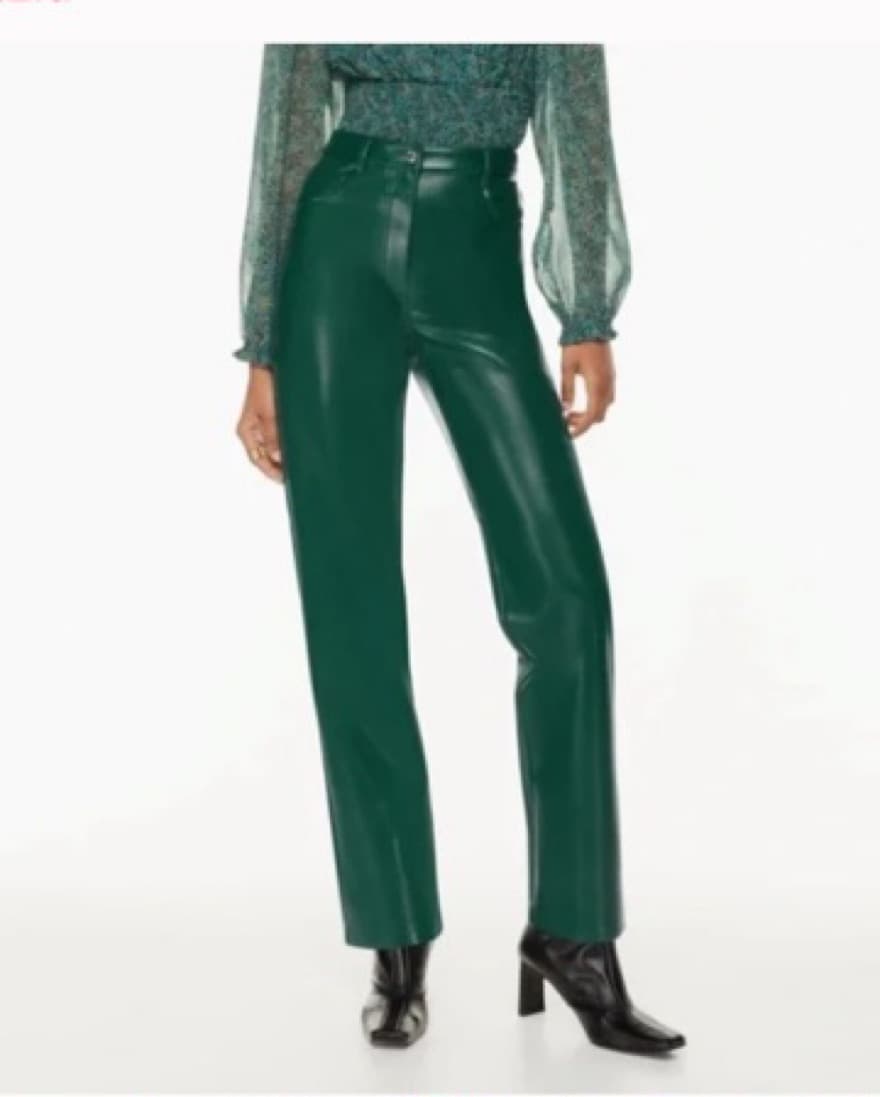 Aritzia Leather Pants - Image 1