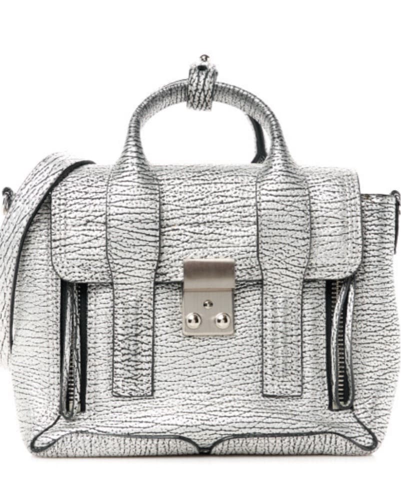  Metallic Textured Calfskin Mini Pashli  - Image 1
