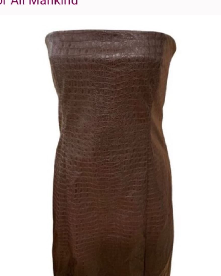 Brown Crocodile Leather Dress- Strapless - Image 5