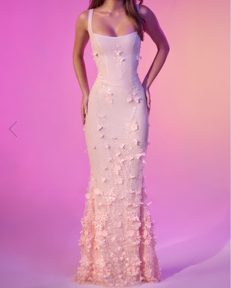 Pink Embellished Fishtail Corset Gown - Image 4
