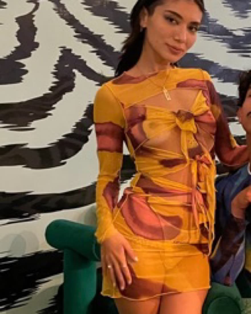 Kim Shui Swirl Print Mesh Tie Dress - Image 2