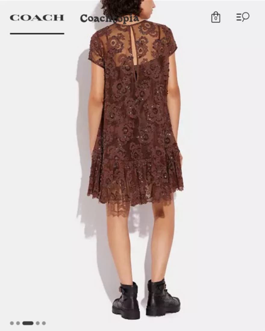 Coach Brown Sequin Lace Dress - Image 4