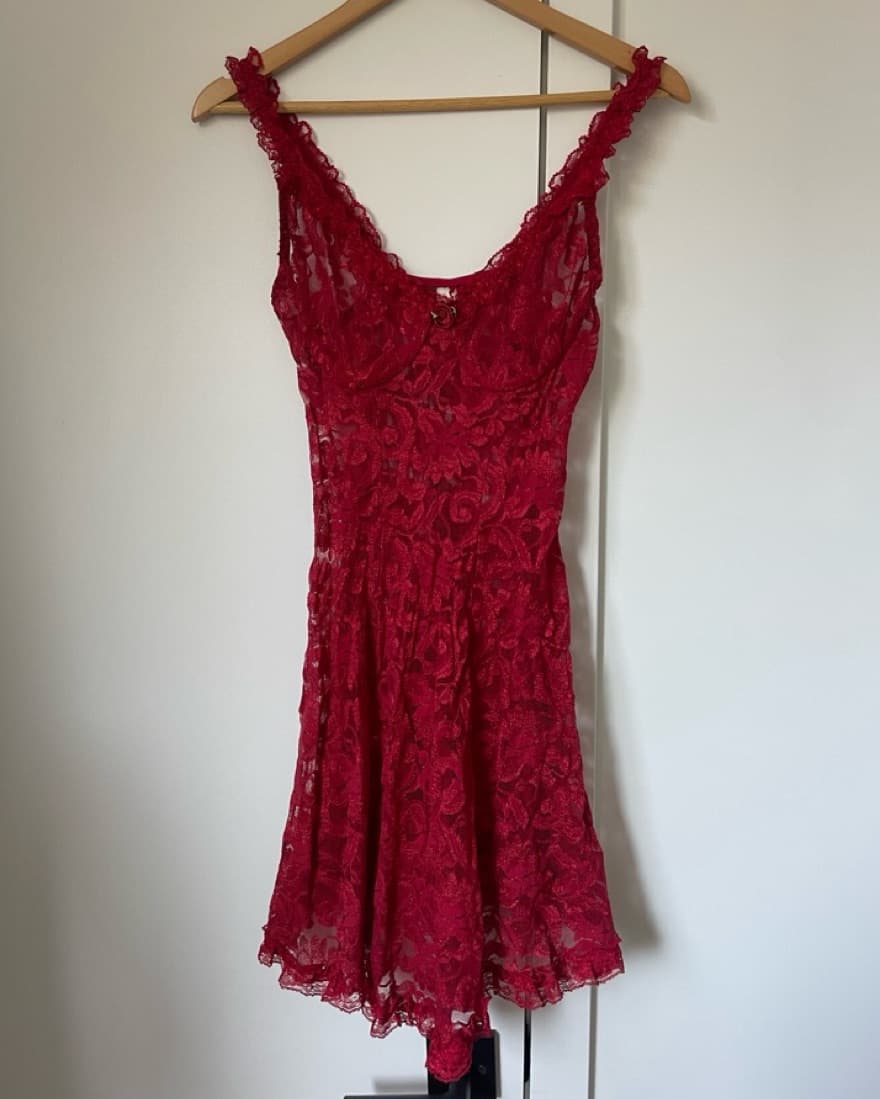 Sheer Lace Mini Dress - Image 1