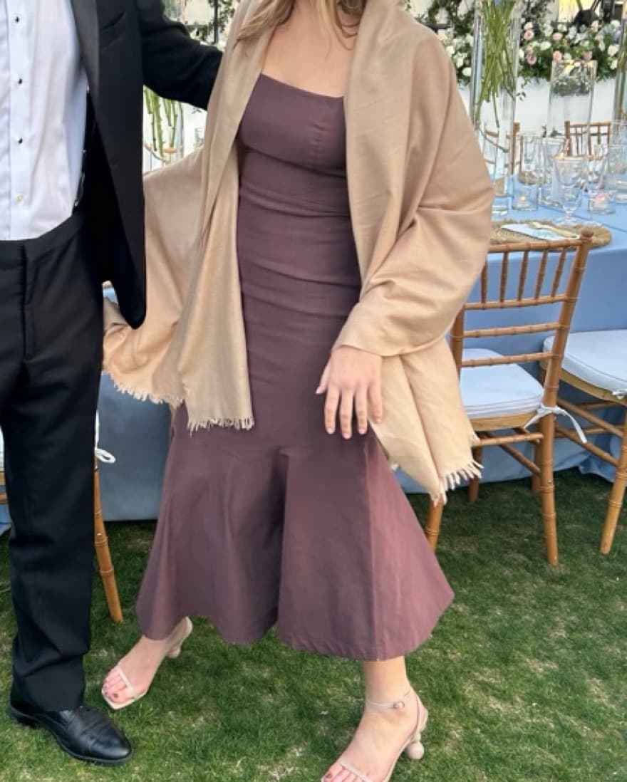 Brown Anthropology Midi Dress - Image 3