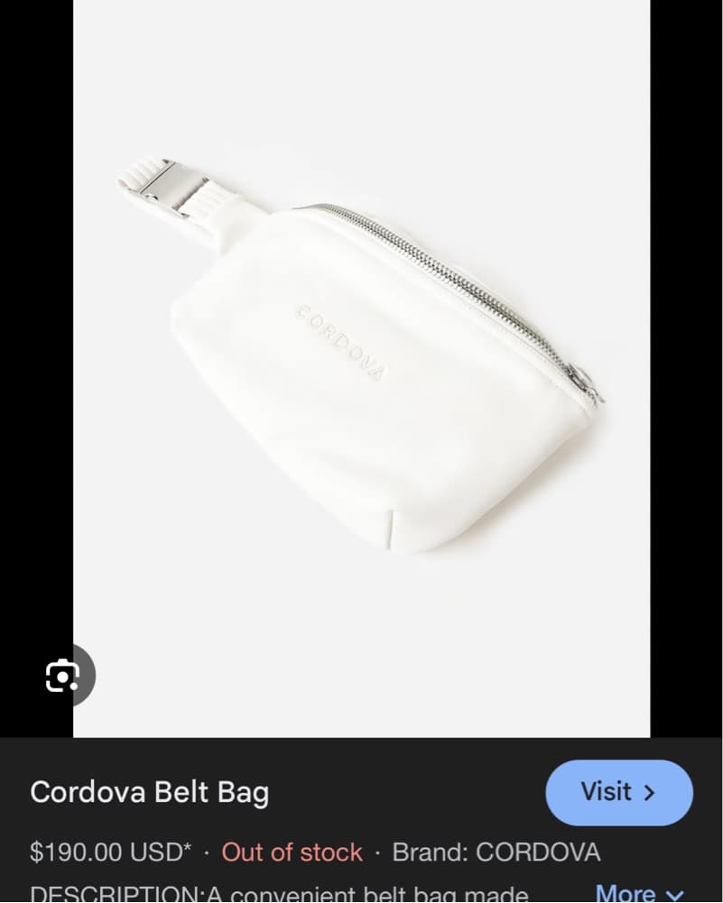 Corodva Belt Bag - Image 2