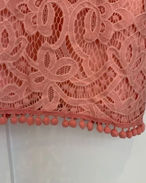 Revolve Tularosa Pink Lace PomPom Dress - Image 3