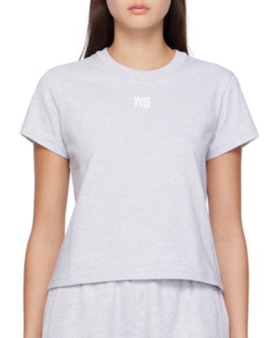 Alexander Wang Grey Baby Tee - Image 1