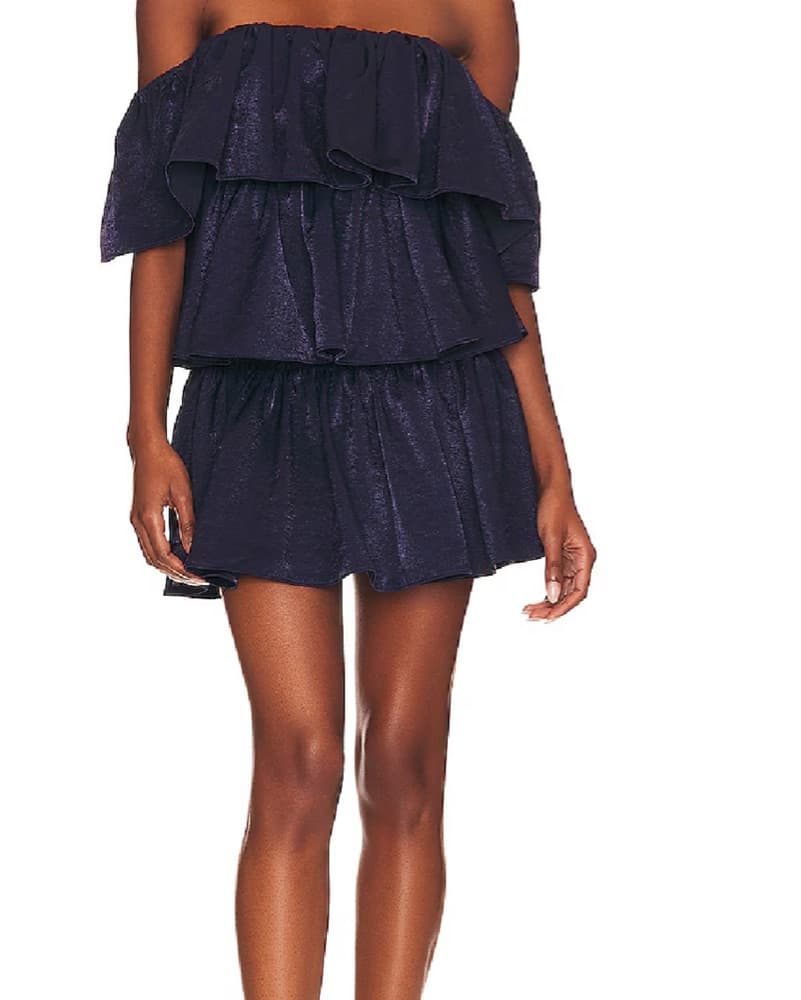 Diaz Mini Dress - Image 1