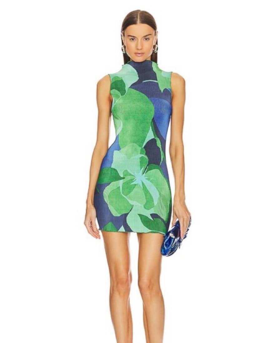 L’Idee Gisele Mini Dress in Capri Print  - Image 1
