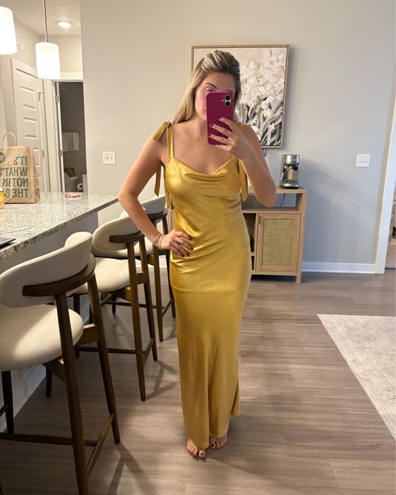 Heartloom Gold Gown - Image 4