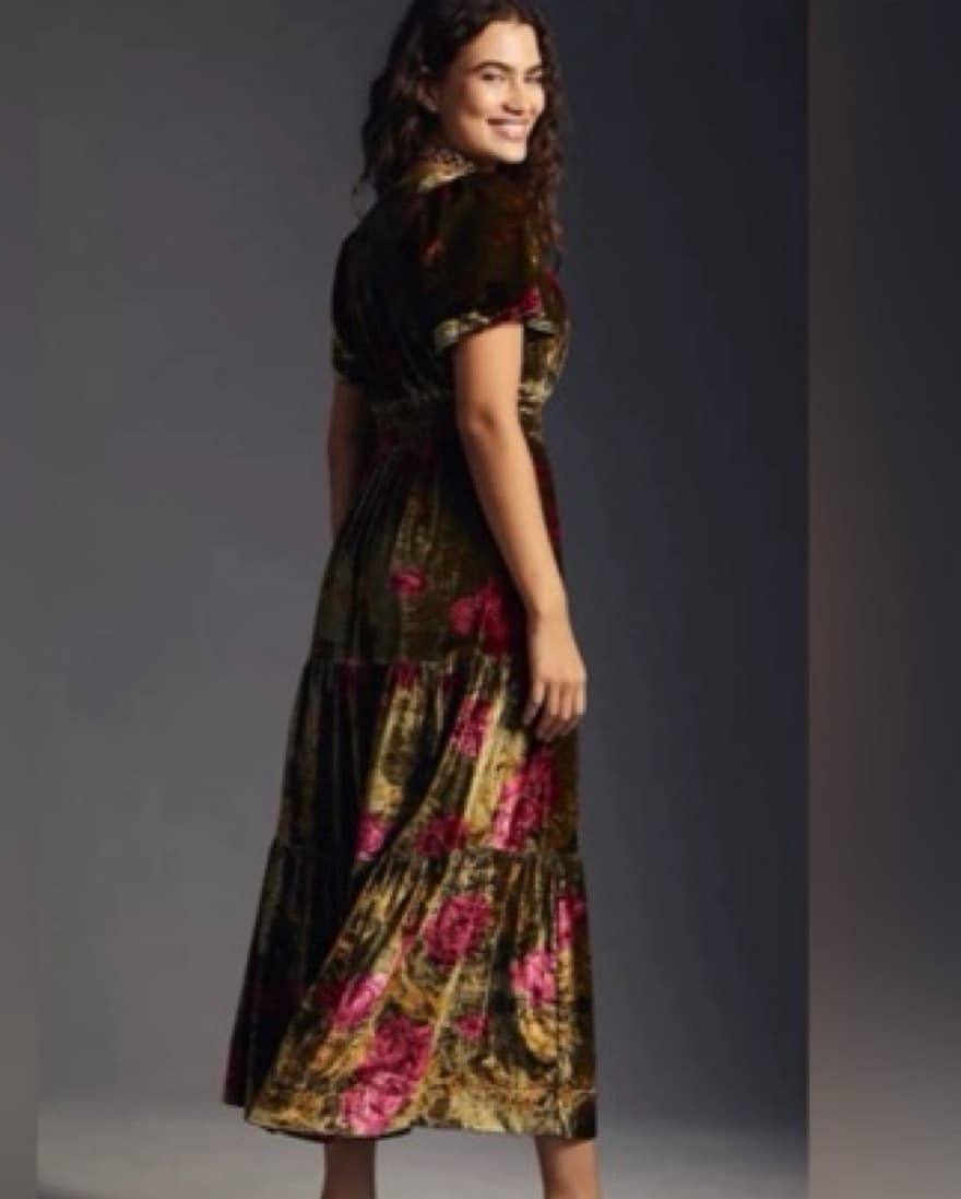 Anthropologie Somerset Velvet Maxi Dress - Image 2