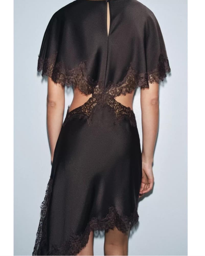 Zara Lace Cut Out Dress  - Image 3
