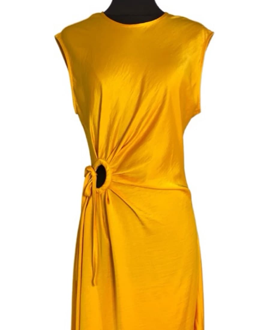 Yellow House Of Harlow Midi Dress - Image 1