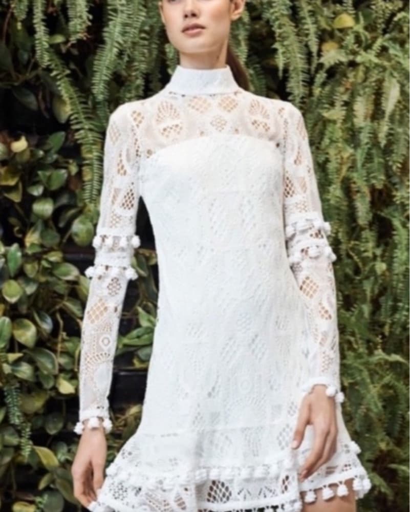 Alexis Long Sleeve Lace Mini Dress - Image 2