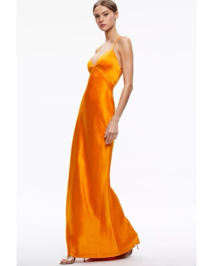 Alice + Olivia Montana Lace Up Back Maxi - Image 2