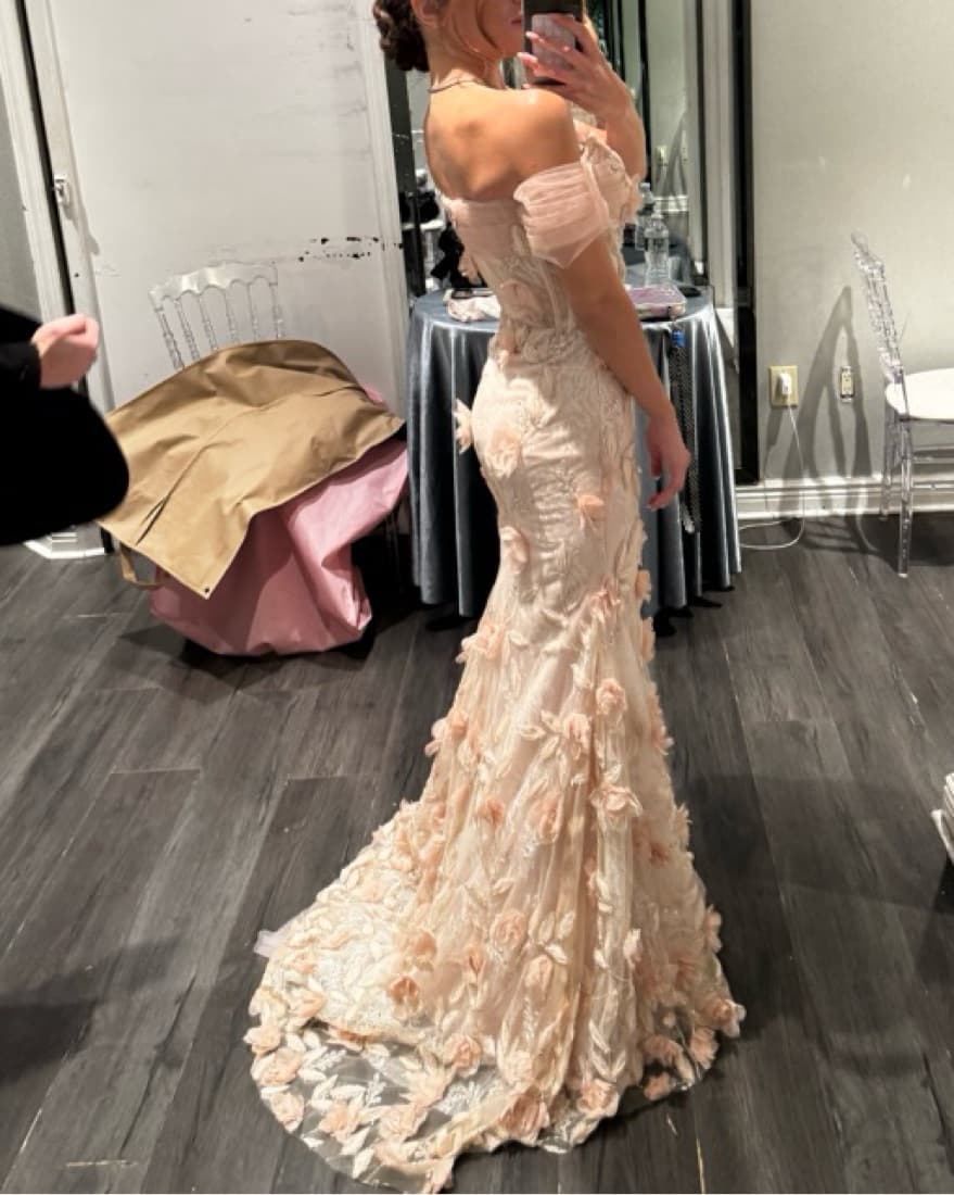Custom Gown  - Image 2