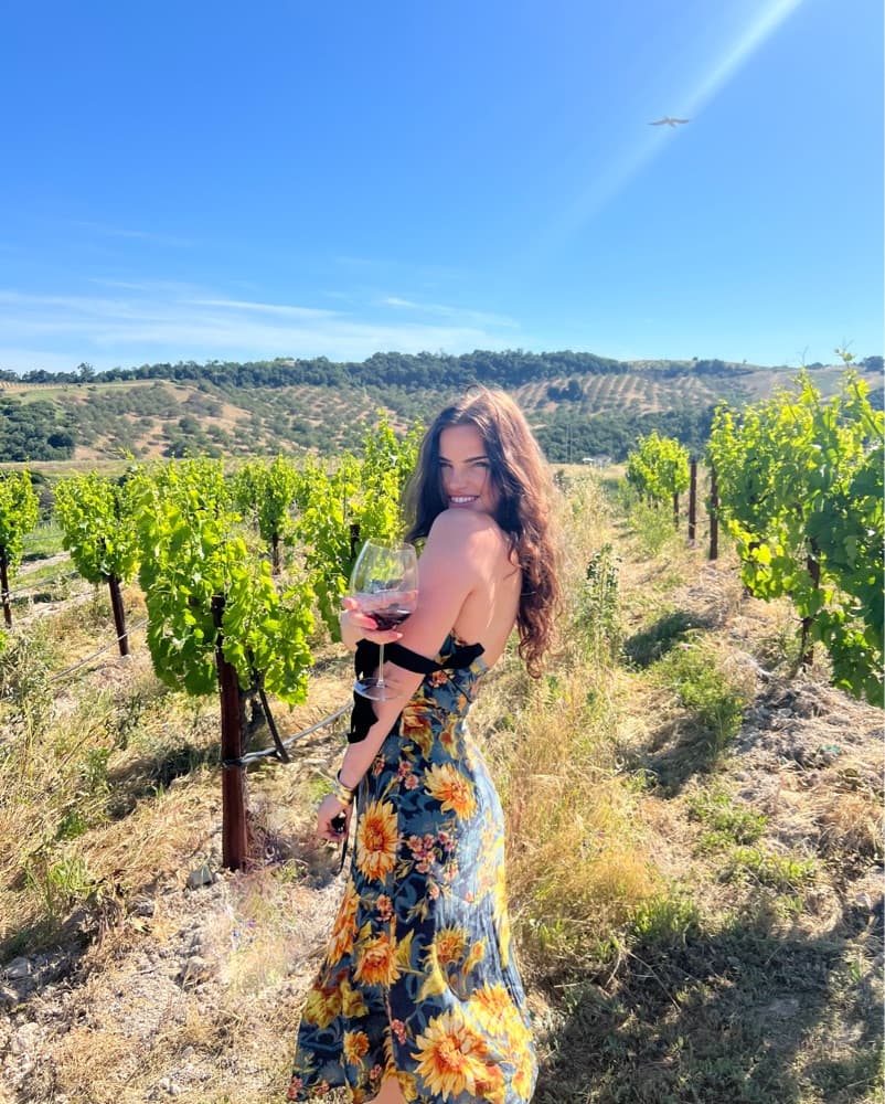 Sandro Sunflower Dress - Image 1