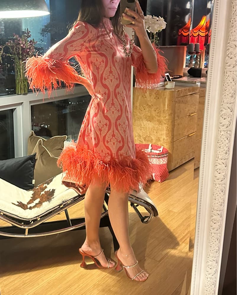 Feathered Mini Dress by Hyacinth House - Image 5