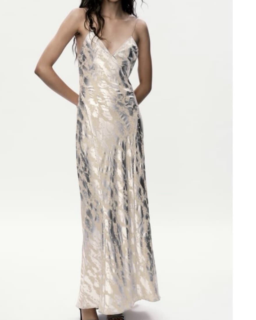 Zara Silver Print Maxi Dress  - Image 1