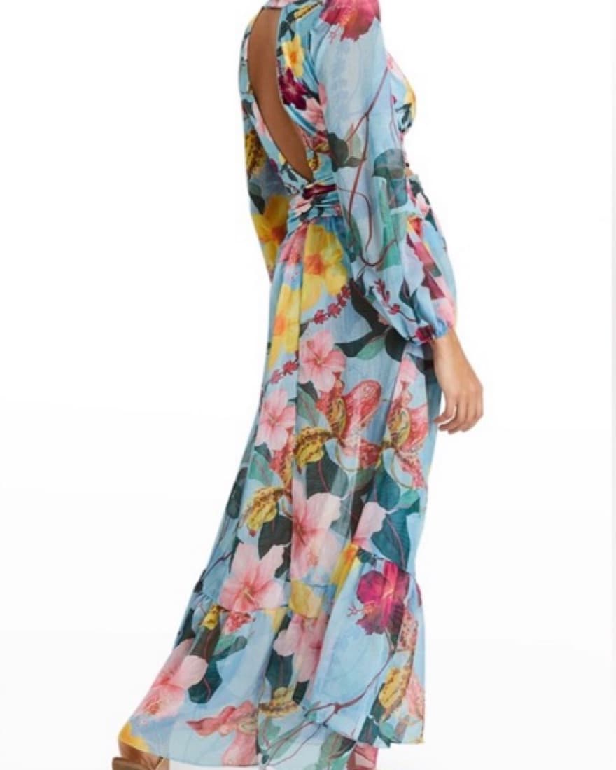 Pat Bo Hibiscus Chiffon Maxi Dress  - Image 3