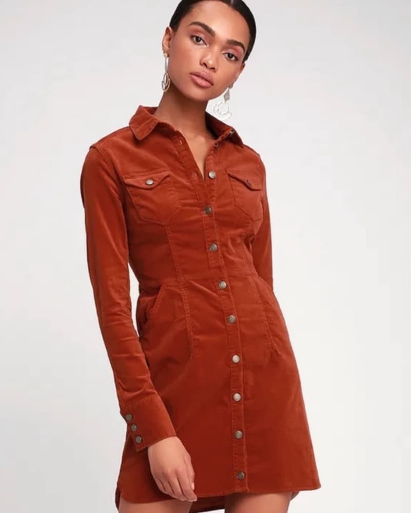 Free People Burnt Orange Dress - Image 1