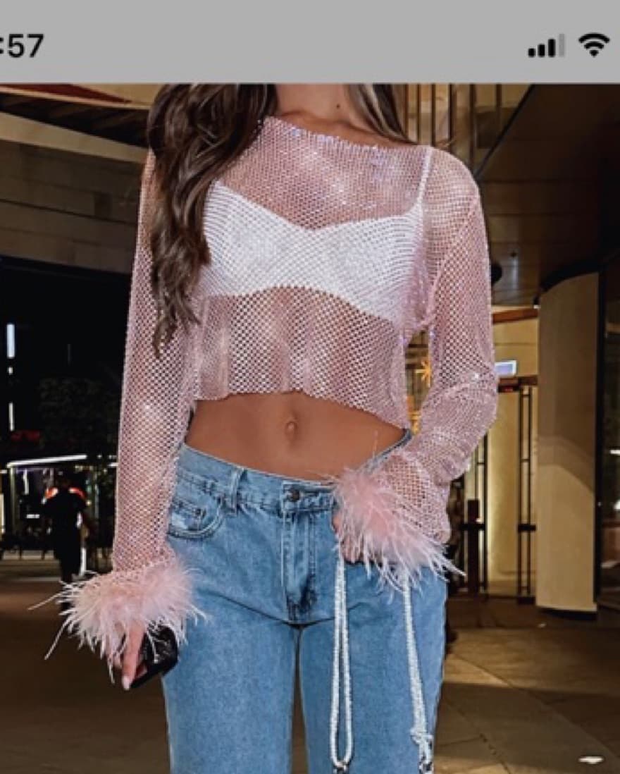 Sheer Feather Pink Long Sleeve Top - Image 1