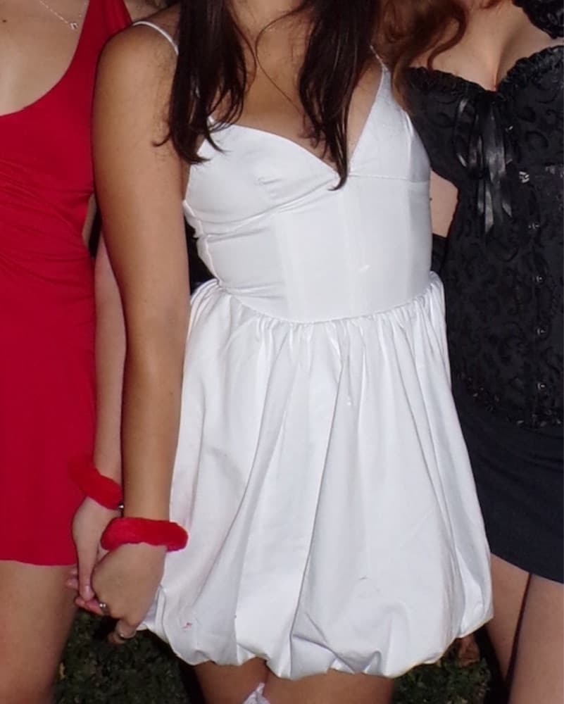 Zara Poplin Dress - Image 2