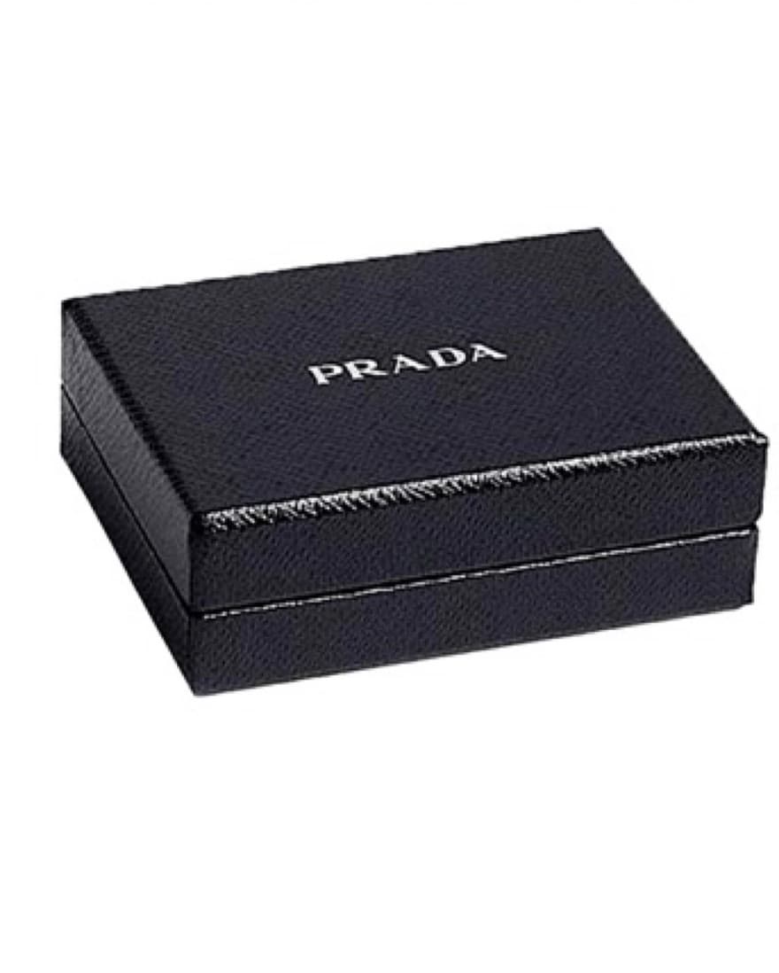 Prada IPOD Case & Necklace - Image 4