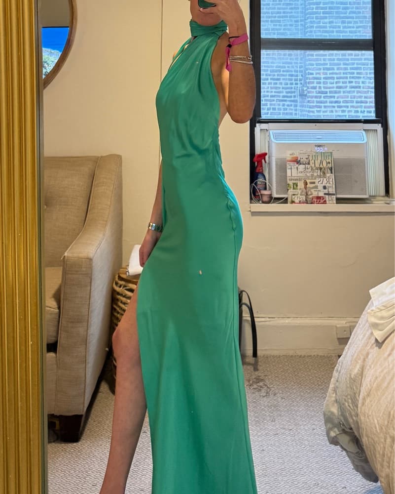 Rat and Boa Azzara Dress - Image 6