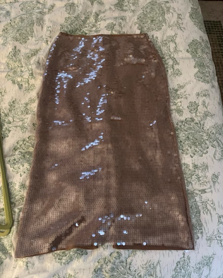 Madewell Sequin Midi Skirt Size 4 - Image 3
