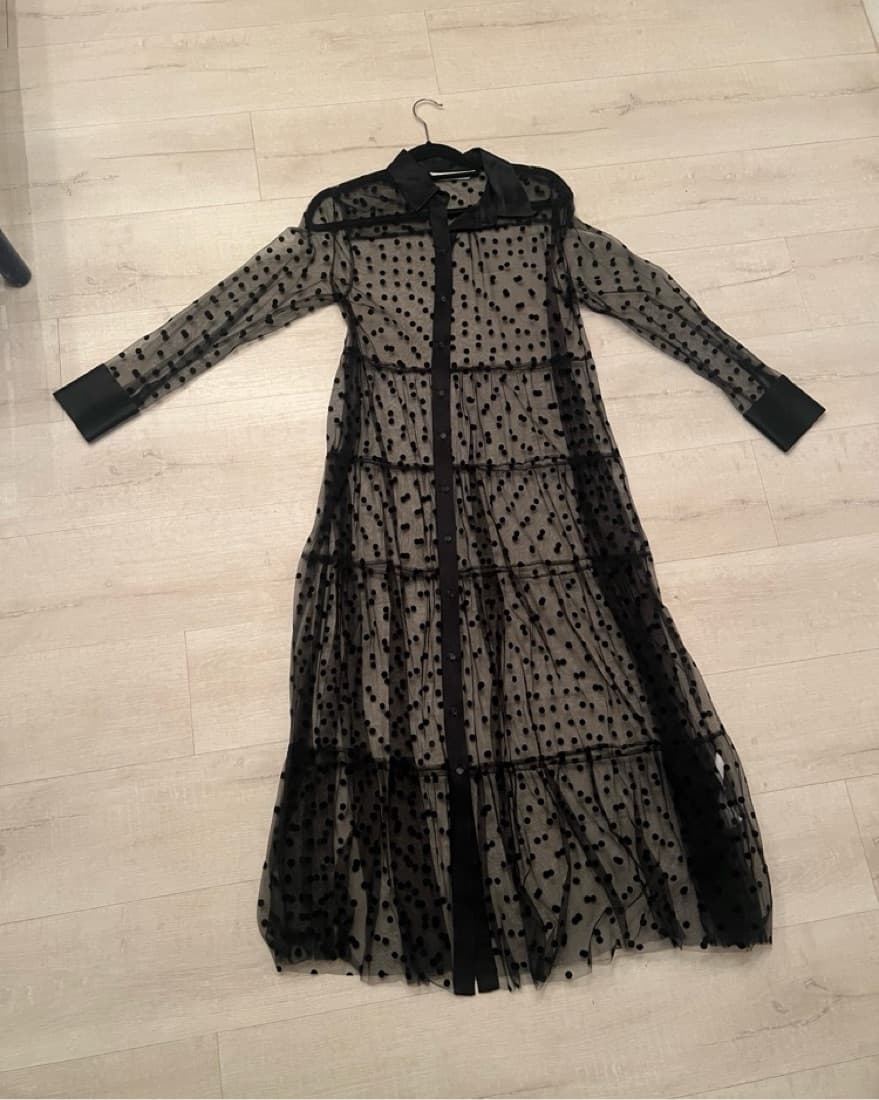 Zara Polka Dot Sheer Dress - Image 3