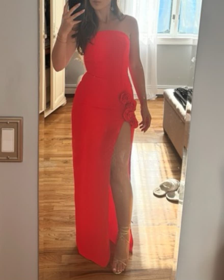 X Revolve Wolfe Gown - Image 3