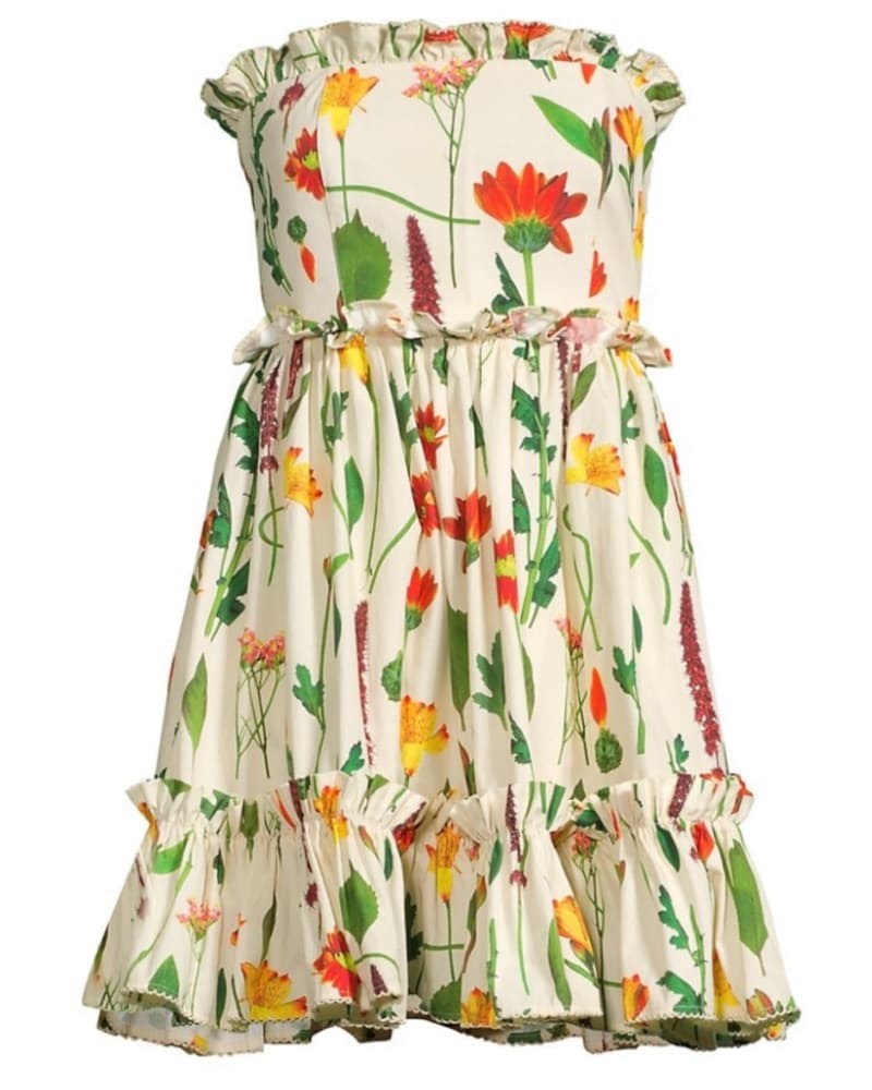 Rosa Primavera Ruffled Mini Dress  - Image 1