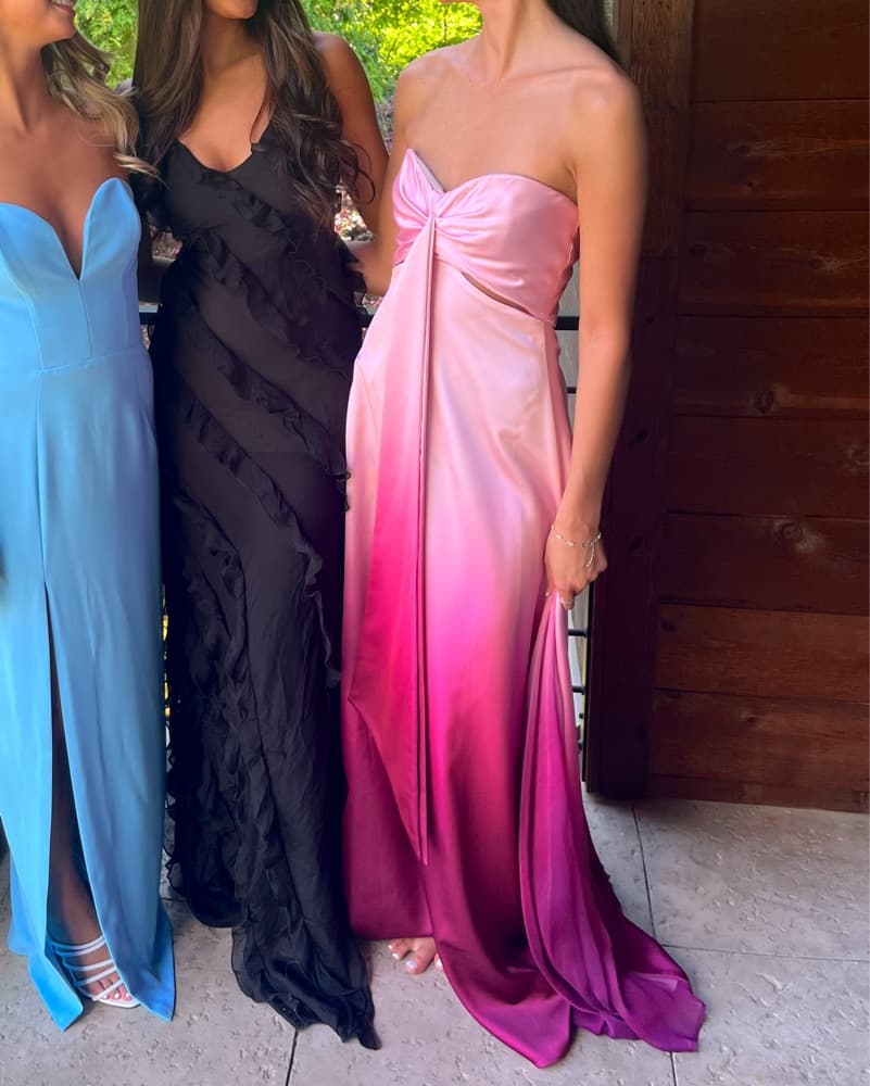 Johnathan Simkhai Pink Ombre Dress - Image 4