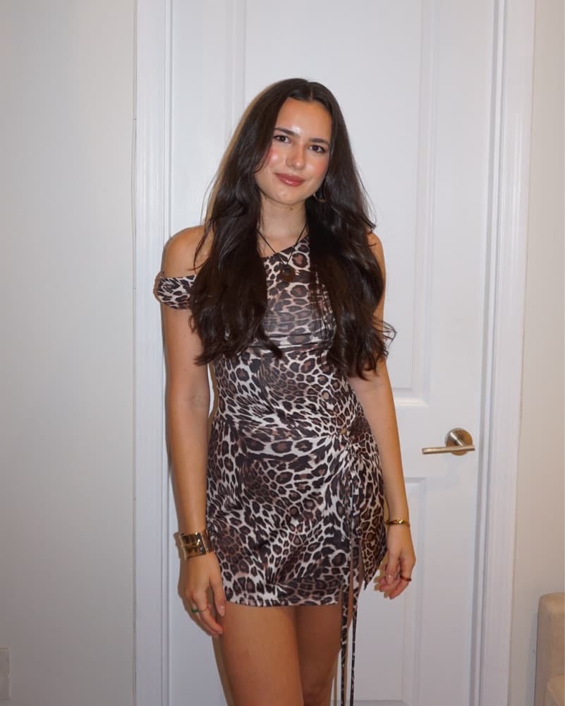 Cheetah Print Mini dress - Image 1
