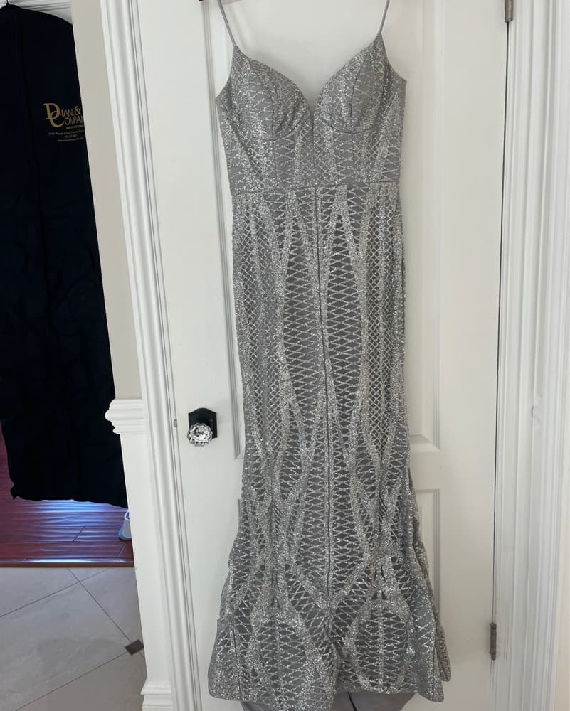 Portia&Scarlett Silver Gown - Image 1