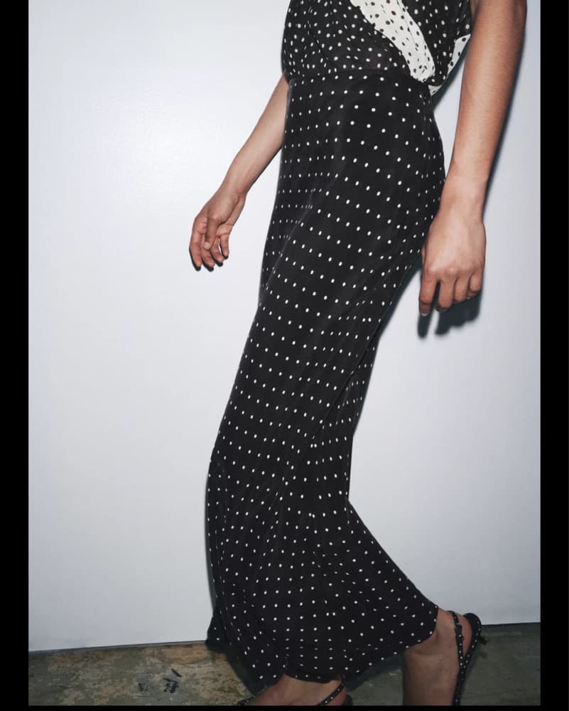 Polka Dot Zara Skirt  - Image 1
