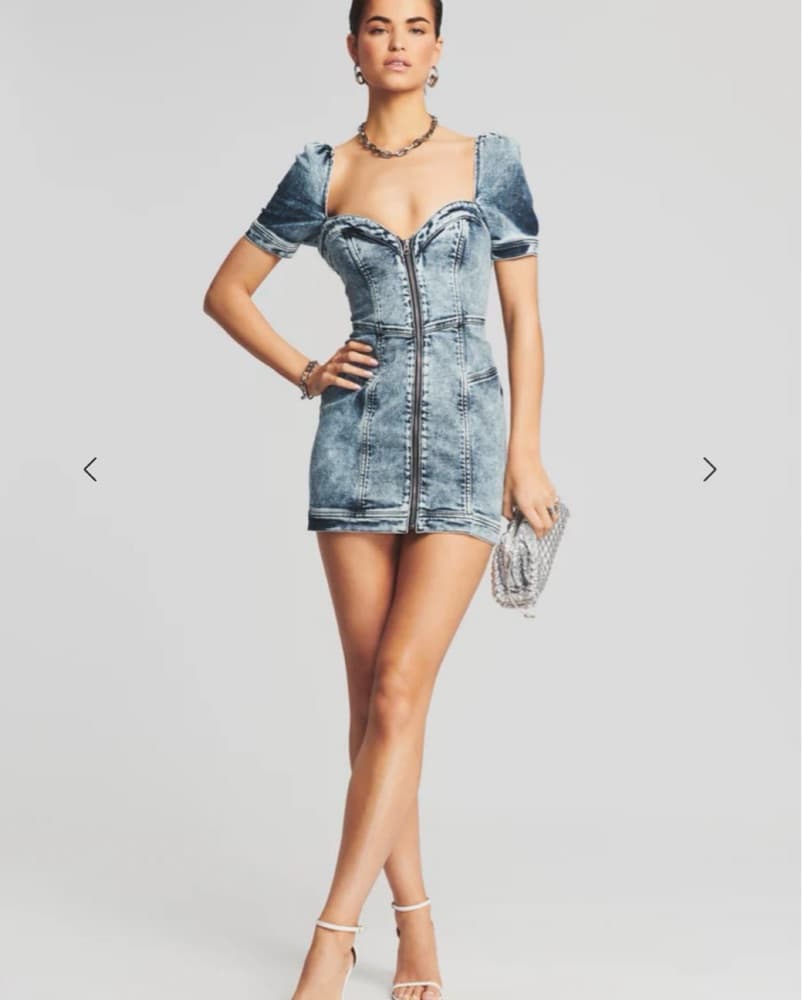 Retrofete Janie Denim Mini Dress - Image 4