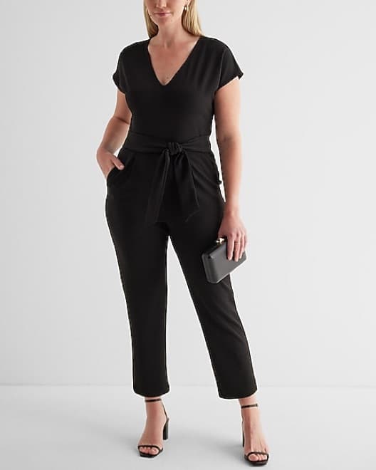 Express V-Neck Tie Waist Jumpsuit - Image 4