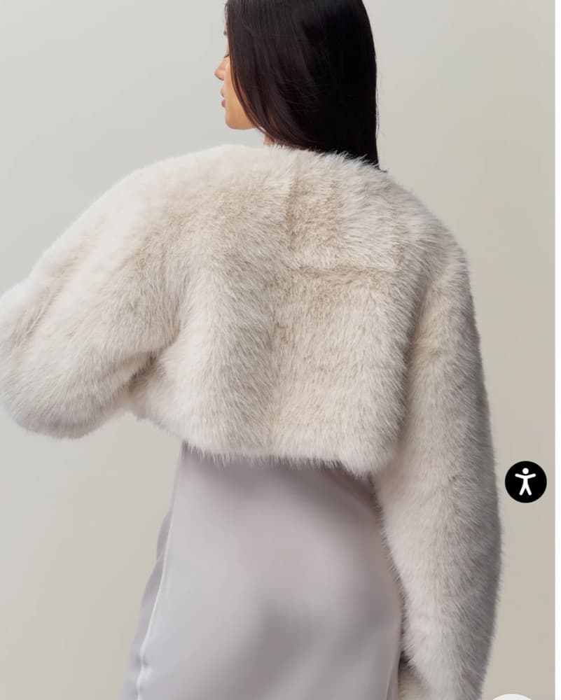 Alyana faux Fur Jacket - Image 4