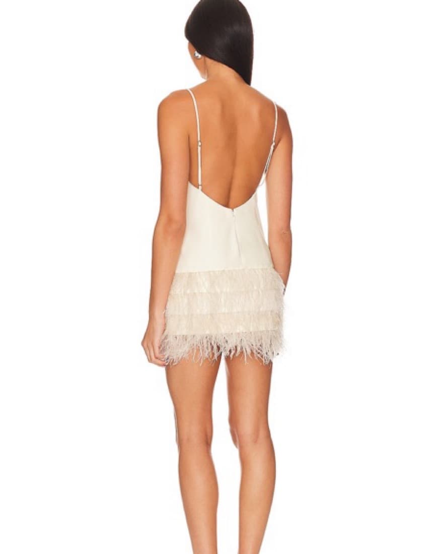 Feather Backless Mini Dress - Image 3