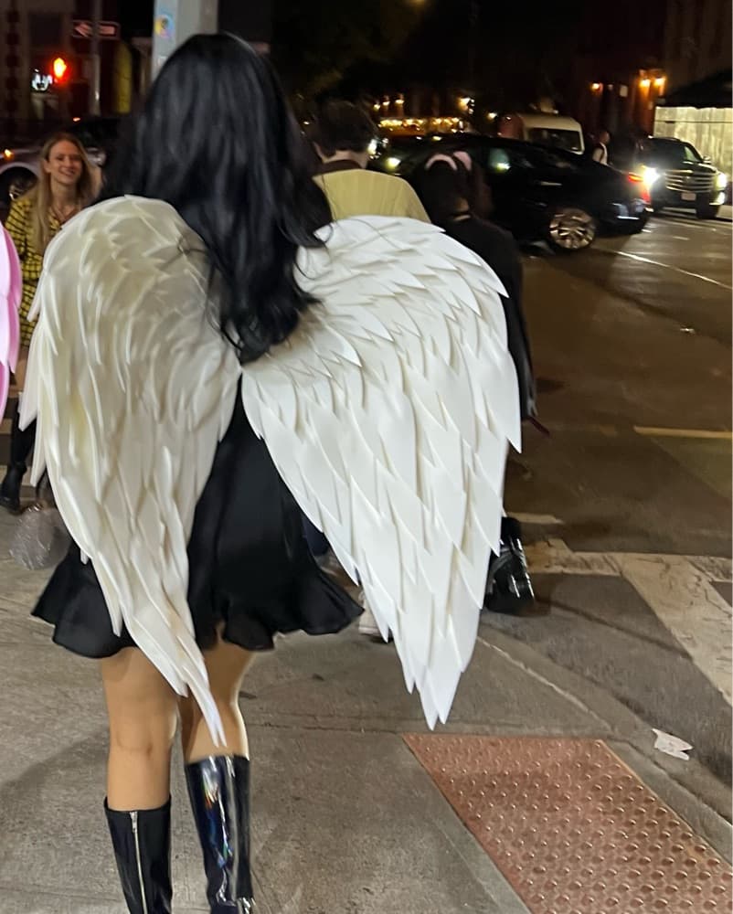 Angel Wings Costume - Image 2