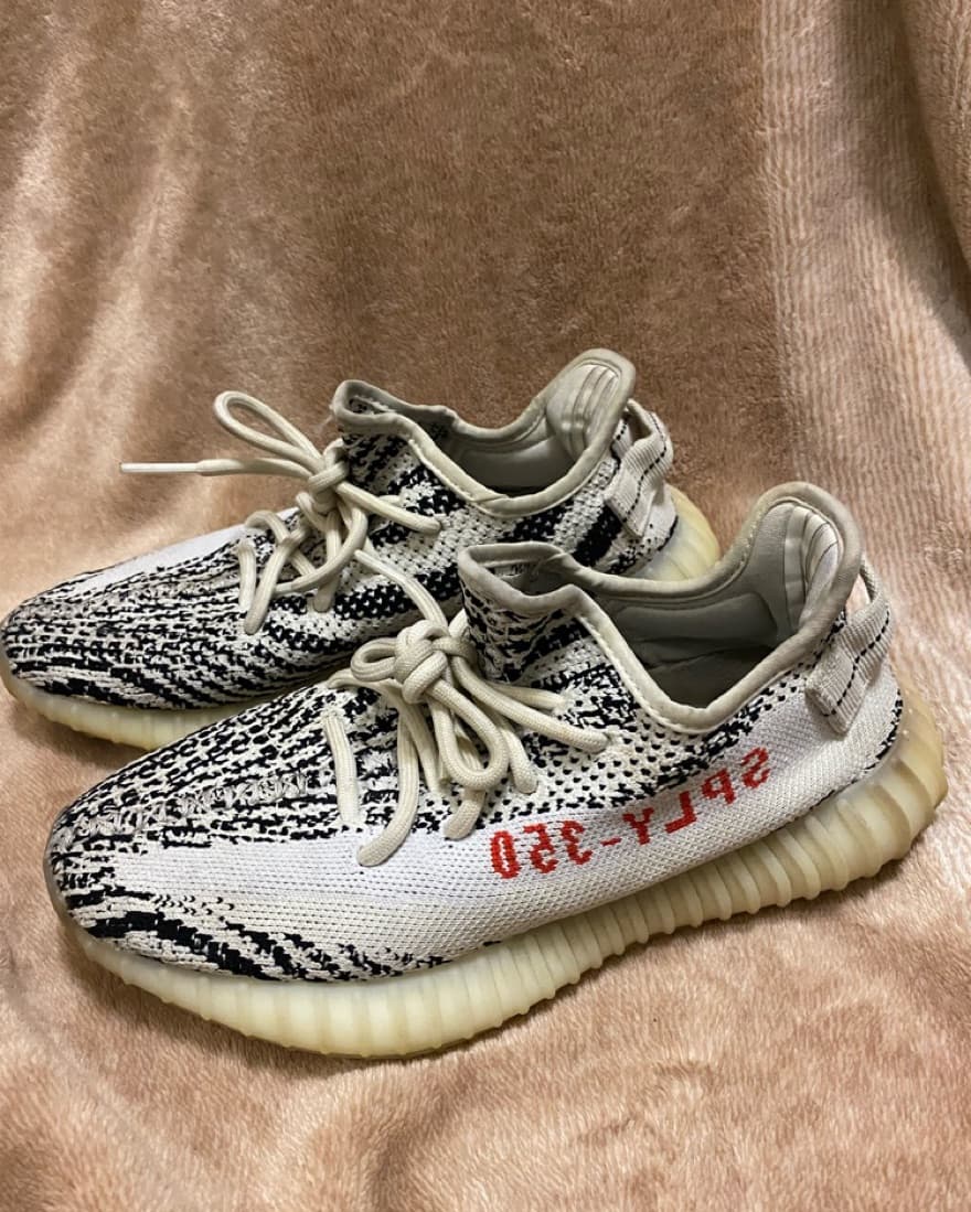 Zebra Yeezys! - Image 2