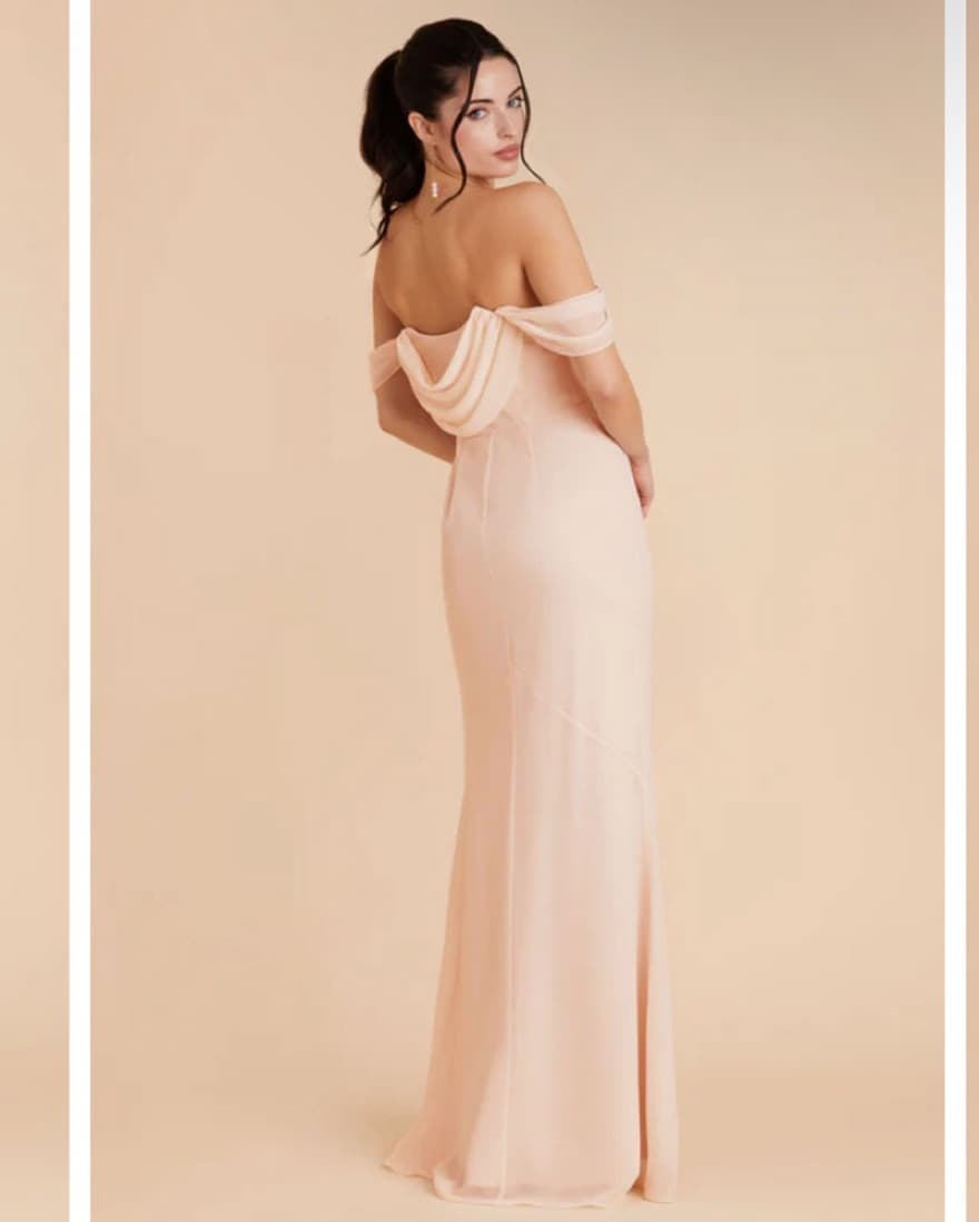 Chiffon Pale Blush Bridesmaid Dress - Image 3